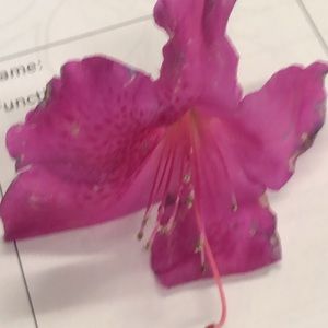 Meet your Posher, Keren